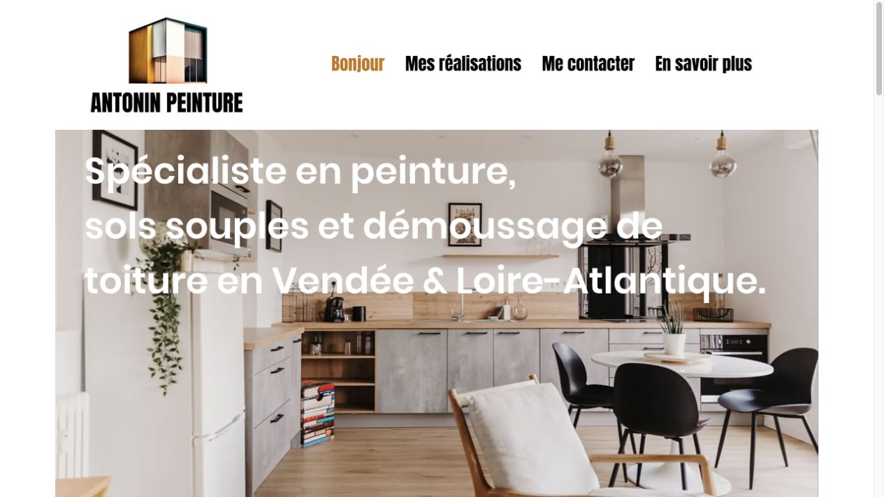 Capture du site de Antonin Peinture